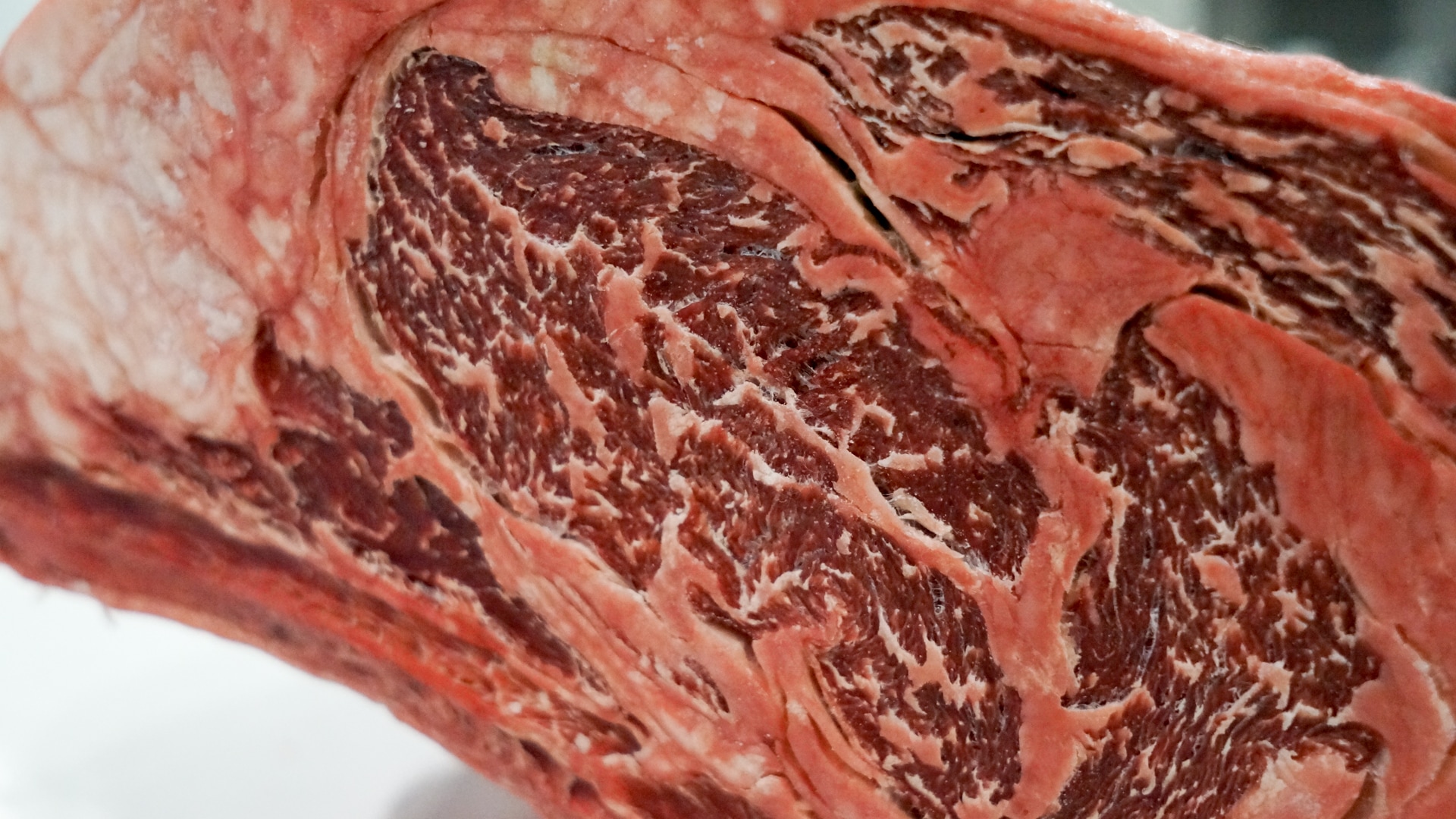Notice the mold start to grow in the dried up creases of muscle layers